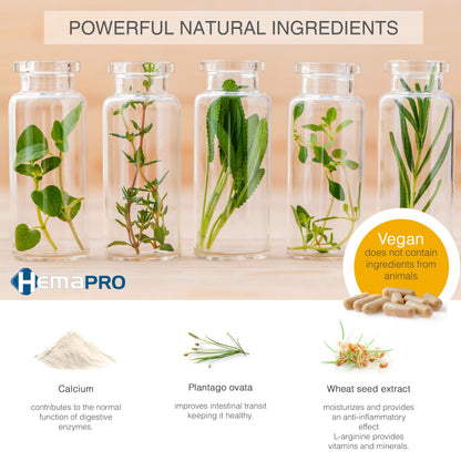 HEMAPRO Cojin Alivio de Las hemorroides + Hemapro cápsulas - 6