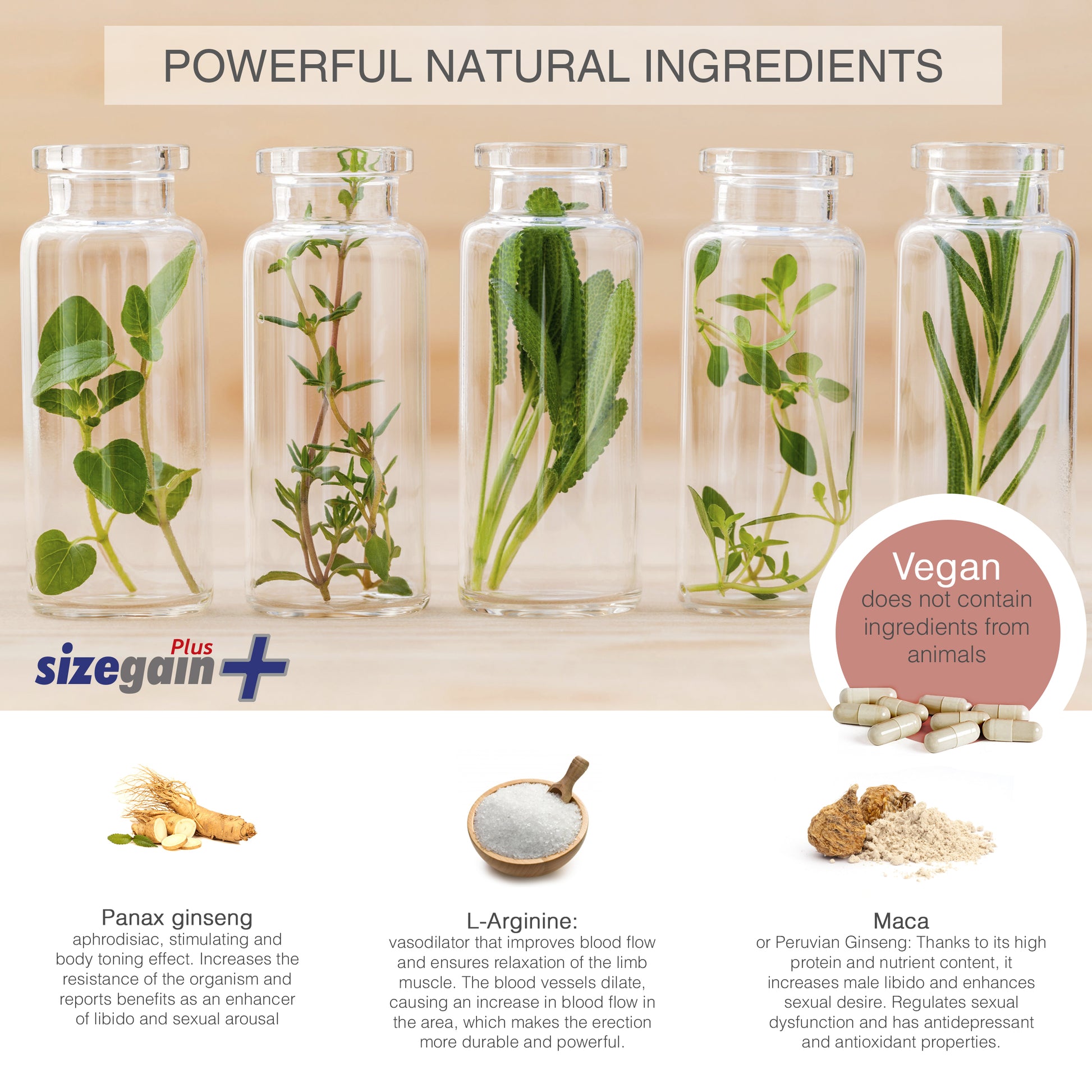 Gnetics Extender: Extensor de pene + SizeGain Plus: Pastillas para alargar el pene - 4